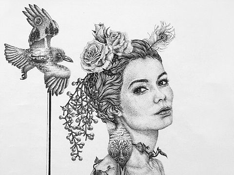 黑白插画