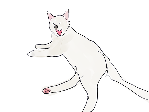 插画头像女
