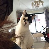 周小痘的头像