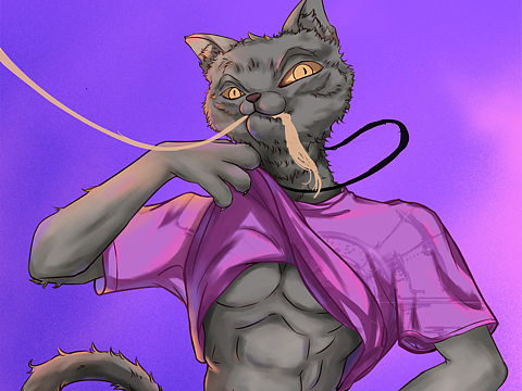 今天的猫猫长这样