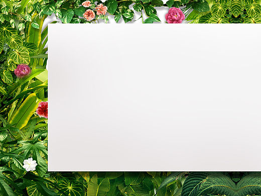 绿色植物海报背景