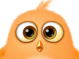 練習(xí)繪制小黃雞