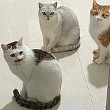 oovv的头像
