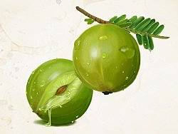 超写实水果一枚