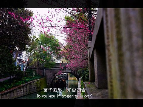 这一世你又在哪里