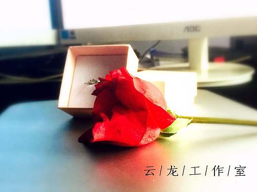 一场婚礼,一场艺术,一种浪漫,一种追求。