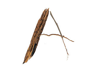 字母设计（个人主页-ZNTI4NTcxNg==） - 字体/字形 - 站酷设计师陈锘鑫原创素材 - 站酷ZCOOL