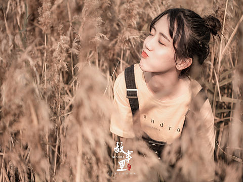 【稻香】治愈系小清新