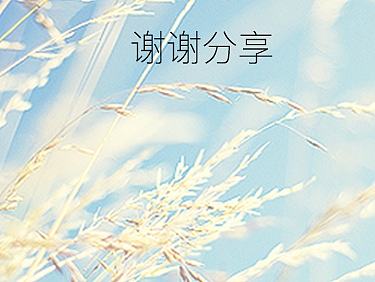 一款游记类的app