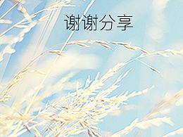 一款游记类的app