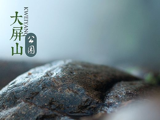 厦门大屏山公园（个人主页-ZOTE2MTE5Ng==） - 风光摄影 - 站酷设计师KWEIYANG原创素材 - 站酷ZCOOL