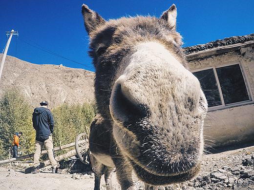 手机摄影散杂集