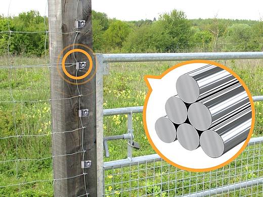 Amazon亚马逊主图/A+