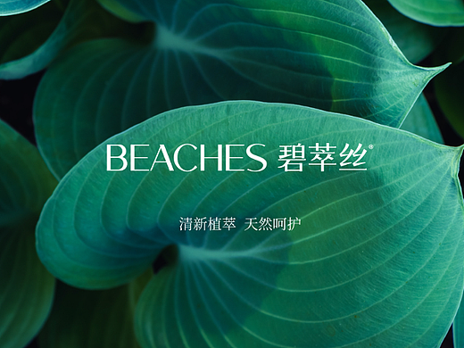 Beaches碧萃丝｜品牌设计