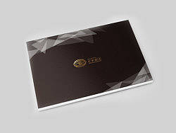 中國電影導(dǎo)演中心招商畫冊（個人主頁-ZMjUxODM4MA==） - 電商 - 站酷設(shè)計師leftlive原創(chuàng)素材 - 站酷ZCOOL