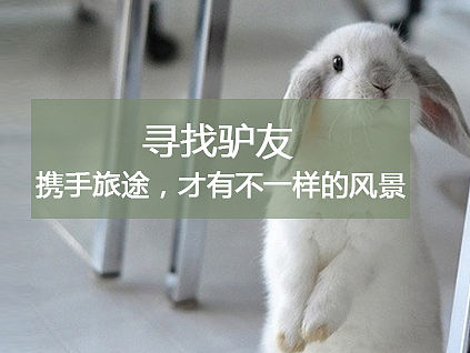 旅友主题APP设计
