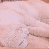 _DAYU的头像