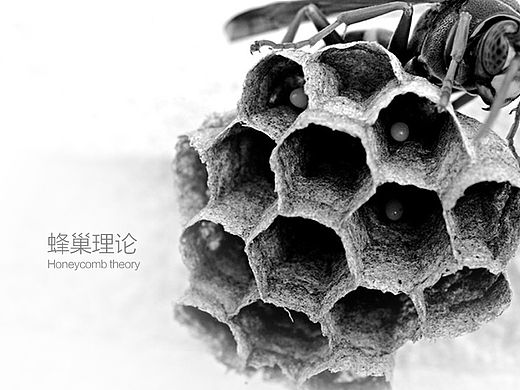 蜂巢理论