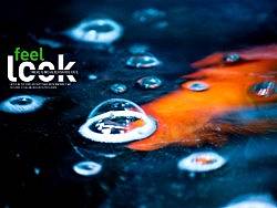 Feel 飯店里的魚(yú)缸（個(gè)人主頁(yè)-ZNzc0MjI4） - 風(fēng)光攝影 - 站酷設(shè)計(jì)師ryanyst原創(chuàng)素材 - 站酷ZCOOL