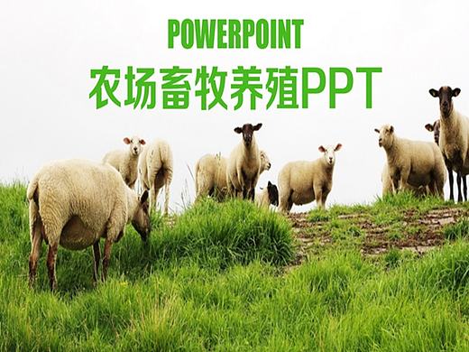 清新农场草原畜牧养殖行业PPT