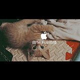 Z65690230的头像