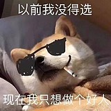 什么傻狗id的头像