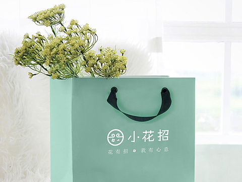 小花招品牌全案设计