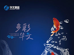 湖南华文企业画册
