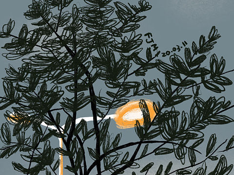 ipad procreat练习 公园系列一（个人主页-ZNDE4MDk0MzY=） - 创作习作 - 站酷设计师fjm777原创素材 - 站酷ZCOOL