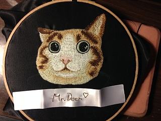 其实这是瓜皮猫。。。我真的没脸说。。。