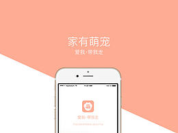 宠物UI