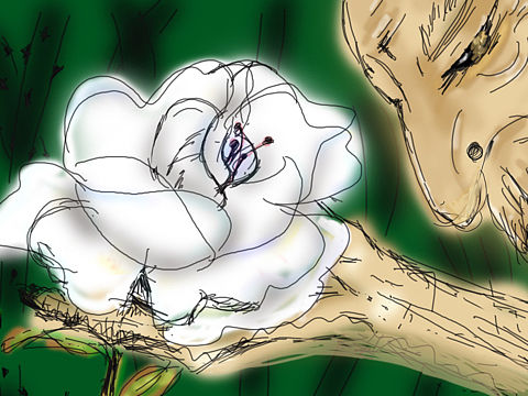 老頭（個人主頁-ZNTU0MTQ3MzI=） - 創(chuàng)作習(xí)作 - 站酷設(shè)計師自由丙原創(chuàng)素材 - 站酷ZCOOL