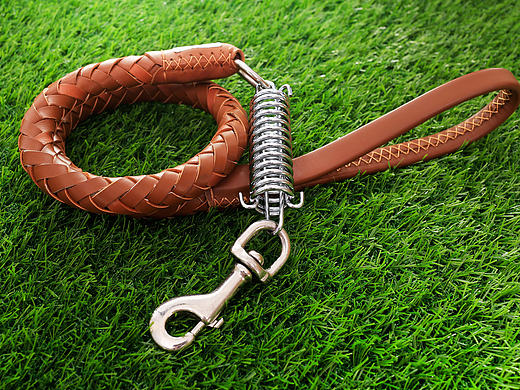 产品摄影 牵引 宠物 皮质 草地