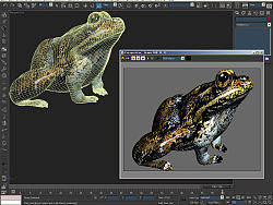以前做的 青蛙！（个人主页-ZNDAyNTU2） - 人物/生物 - 站酷设计师xu66568886原创素材 - 站酷ZCOOL