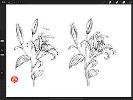 學(xué)習(xí)插畫、練習(xí)線條中