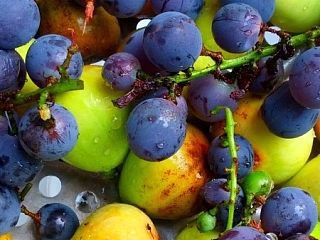 我的家乡，南乐（个人主页-ZNDk1Mjk5Mg==） - 风光摄影 - 站酷设计师伍未原创素材 - 站酷ZCOOL