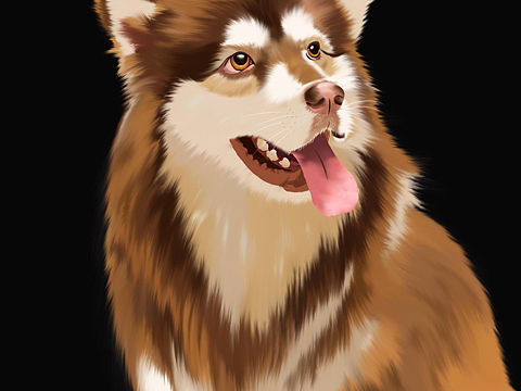 插画练习|毛绒质感的刻画