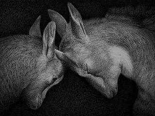 钢笔画《LOVE》2