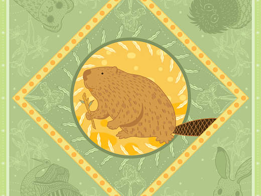 【珍稀动物100】蒙新河狸插画·文创延展