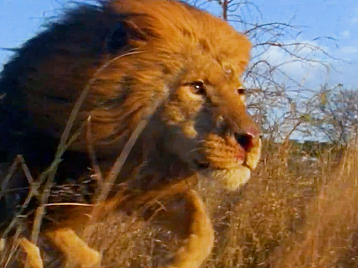 随笔（个人主页-ZMTQ5NTA4OA==） - 平面 - 站酷设计师达旦旦原创素材 - 站酷ZCOOL