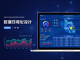 土地承包項(xiàng)目可視化大屏