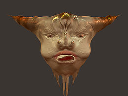 金角大王和银角妹妹