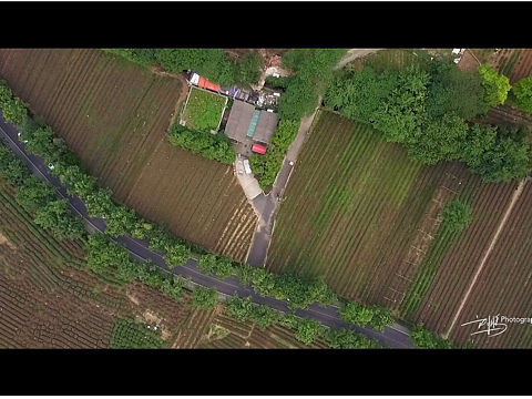 杭州 西湖 龙井路 航拍片段