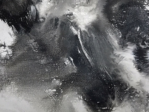 龟鸟