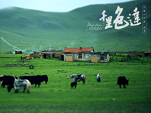 墨非游记—《千里色达》（个人主页-ZMTc1MDkxNDg=） - 风光摄影 - 站酷设计师墨非mofei原创素材 - 站酷ZCOOL