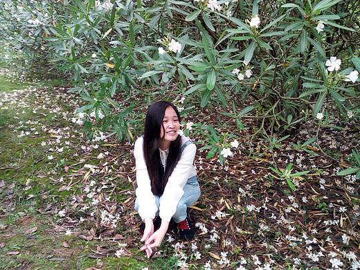 不用羨慕 我們學(xué)校也能這么美～（個(gè)人主頁(yè)-ZMTY2NTc2NDQ=） - 人像攝影 - 站酷設(shè)計(jì)師卡卡咘咔原創(chuàng)素材 - 站酷ZCOOL