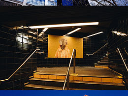 『美国行』我在大都会博物馆门口吃粽子