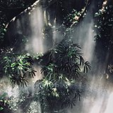 訫异工作室的头像