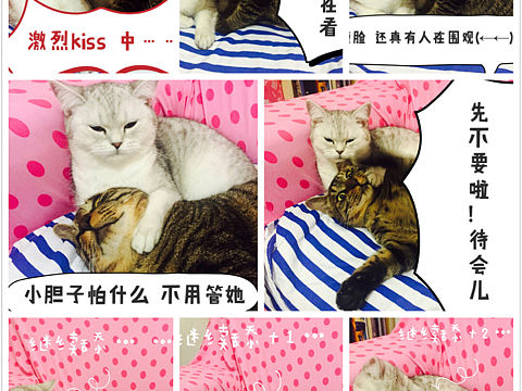 朵朵&小野的日常