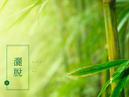 竹